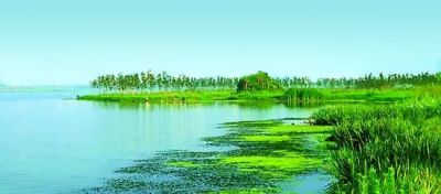 碧水蓝天共一色，yth游艇会为美丽中国绘出新画卷